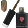 #CHAMPAGNECATEYE - Influence Gellac - Gouden Gellak - Gellak Goud UV - Cat Eye - UV Gellak - Gel Nagellak - Gellac - Kado Vrouw - Valentijns Cadeau - Kado Voor Haar - 10 Ml - Inclusief Magneet -Bekende Cosmetica Winkel 1103x1200 3