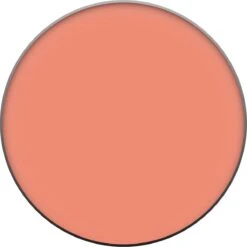 L’Oréal Paris True Match - 160 Pêche - Blush -Bekende Cosmetica Winkel 1199x1200 15