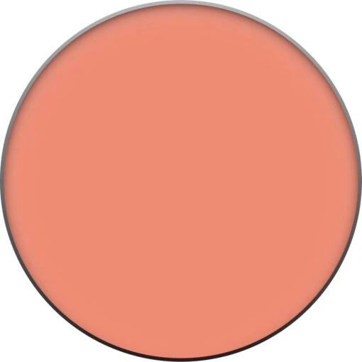 L’Oréal Paris True Match - 160 Pêche - Blush -Bekende Cosmetica Winkel 1199x1200 15