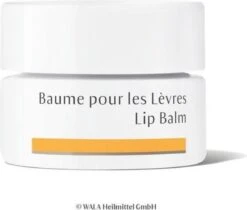 Dr. Hauschka Dr. Hauschka Lip Balm 4,5 Ml -Bekende Cosmetica Winkel 1200x1018