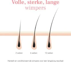 Lashive Wimperserum - Wimper Groeiserum - 3 Ml - Wenkbrauw Serum - Lash Lift Kit - Lashserum -Bekende Cosmetica Winkel 1200x1060 7