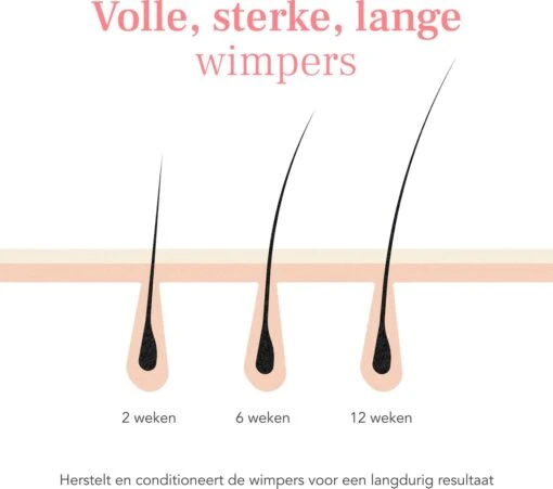 Lashive Wimperserum - Wimper Groeiserum - 3 Ml - Wenkbrauw Serum - Lash Lift Kit - Lashserum -Bekende Cosmetica Winkel 1200x1060 7