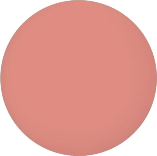 Bourjois Rouge Velvet The Lipstick Lippenstift - 15 Peach Tatin -Bekende Cosmetica Winkel 1200x1198 74