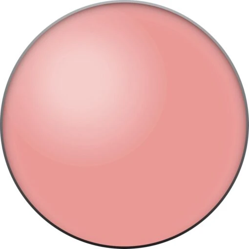 Bourjois Little Round Pot Blush - 54 Rose Frisson -Bekende Cosmetica Winkel 1200x1200 1128