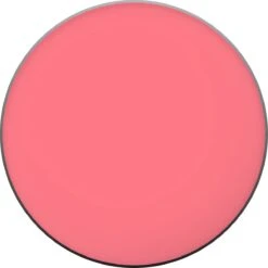 L'Oréal Paris True Match Blush - 165 Rose Bonne Mine -Bekende Cosmetica Winkel 1200x1200 1133