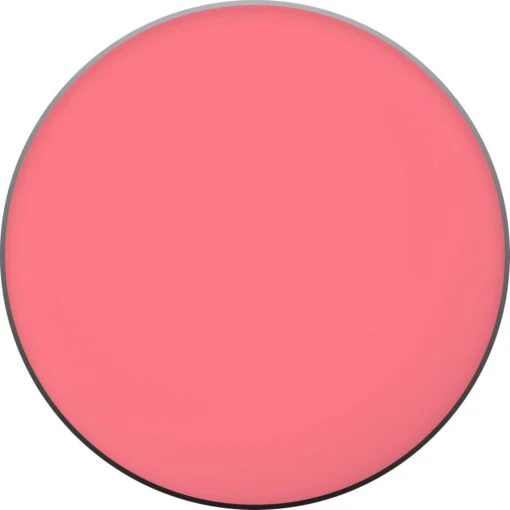 L'Oréal Paris True Match Blush - 165 Rose Bonne Mine -Bekende Cosmetica Winkel 1200x1200 1133