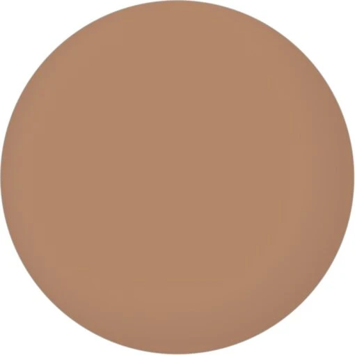 Maybelline SuperStay Multi-use Foundation Stick - 060 Caramel -Bekende Cosmetica Winkel 1200x1200 1204