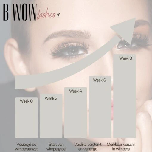 B WOW [Advanced] Lash Lift Wimperserum - Lash Serum - Lashlift - Wimperlift - Eyelash Serum - Wenkbrauw Serum - Wimperlift -Bekende Cosmetica Winkel 1200x1200 1781