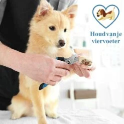 Merkloos Nagelknippper Hond Nagelknipper Kat + E-BOOK - Nagelschaar Hond - Nagelschaar Kat - Honden Nagelknipper - Nagelvijl Hond - Nageltang Hond - Nagelknipper Hond Veiligheidsstop - Nagel Hond - Bwa Commerce -Bekende Cosmetica Winkel 1200x1200 820