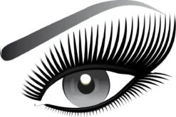 L’Oréal Paris False Lash Wings Intenza - Black - Mascara -Bekende Cosmetica Winkel 1200x803 3