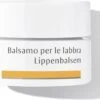 Dr. Hauschka Dr. Hauschka Lip Balm 4,5 Ml -Bekende Cosmetica Winkel 1200x926 4