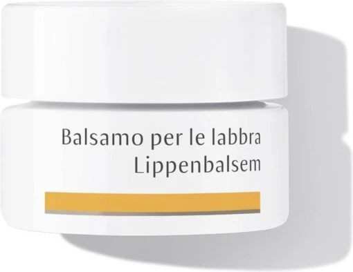 Dr. Hauschka Dr. Hauschka Lip Balm 4,5 Ml -Bekende Cosmetica Winkel 1200x926 4